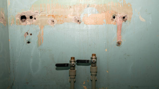 24/7 water damage repair in Grand Canyon Village, AZ