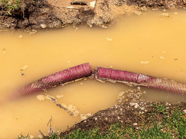 Best 24-hour water damage restoration  in Grand Canyon Village, AZ